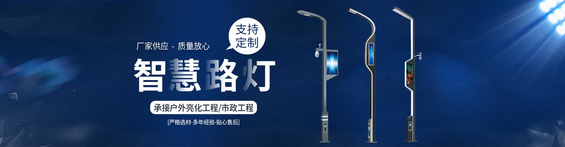 月湖区太阳能路灯定制厂家