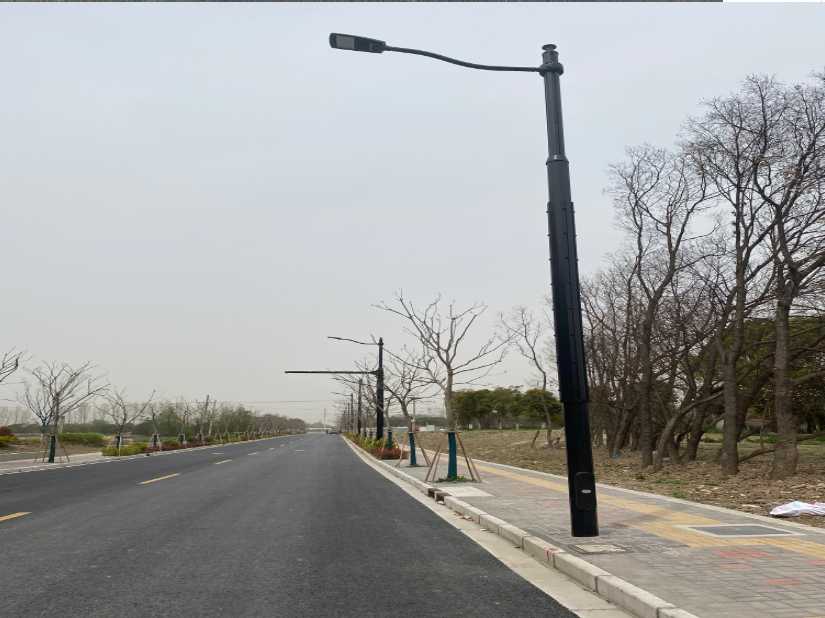 月湖区上海综合杆 太阳能路灯工程